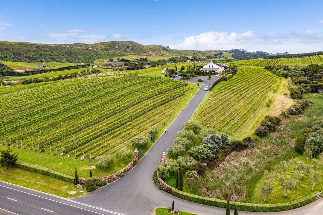 Tantalus Estate, 70/72 Onetangi Road, Onetangi, Waiheke Island