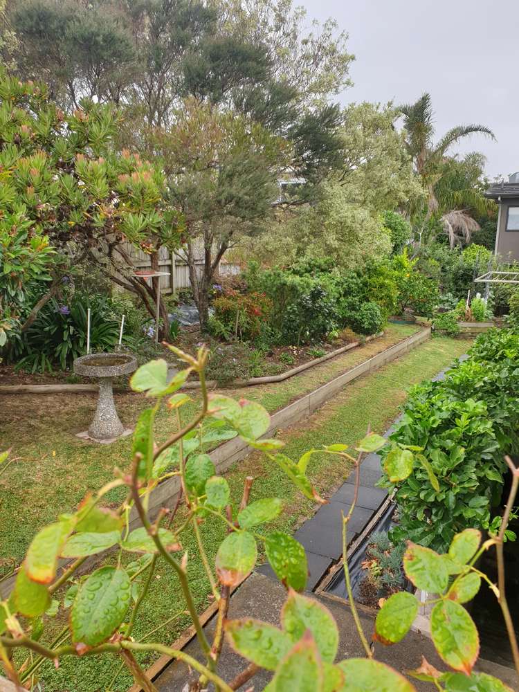 18c Devon Road Bucklands Beach_3