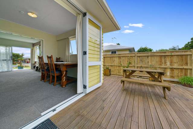 21 Reeve Street Levin_1