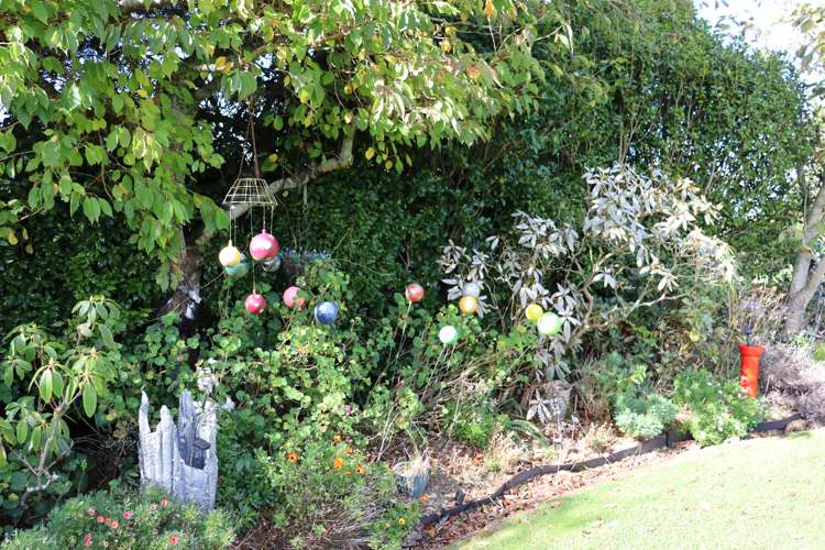 344 Hursthouse Road Inglewood_18