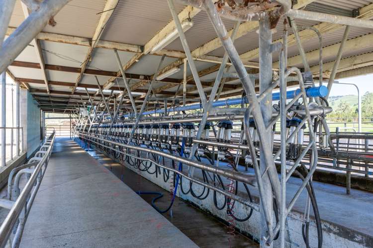 1038 Te Kopia Road Waikite Valley_19