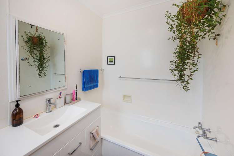 30b Alfred Street Roslyn_14