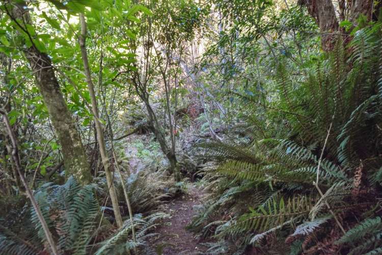 4A Ronay Street Bradford_11