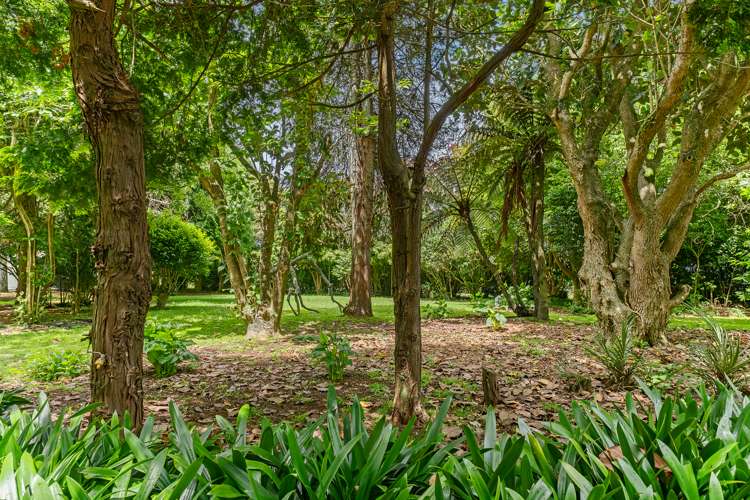 1252 Devon Road Brixton New Plymouth Houses for Sale One Roof