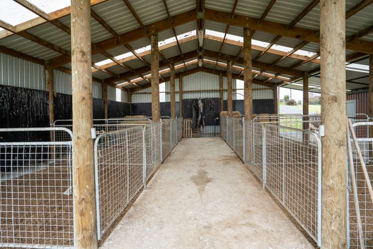 1132b Victoria Road Tauwhare_23