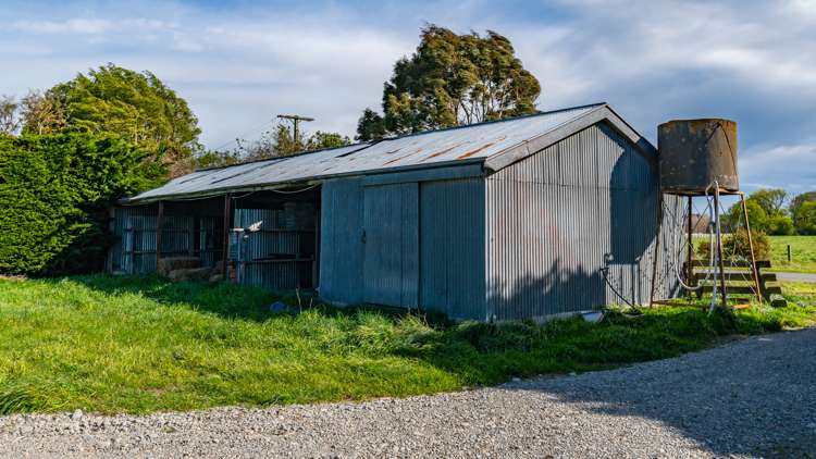 Selwyn Lake Road Leeston_30