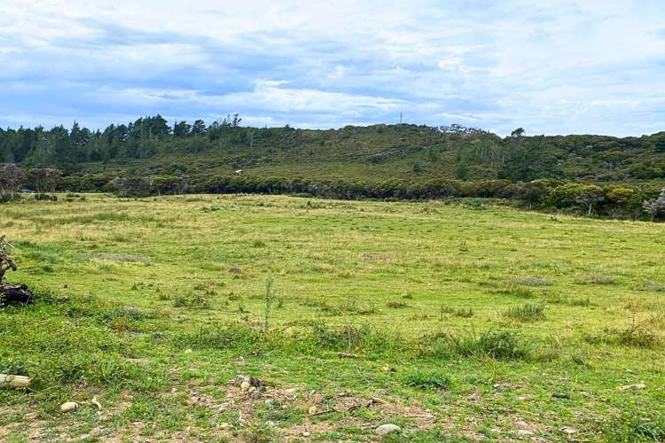 Lot 3/161 Wharariki Road Puponga_20