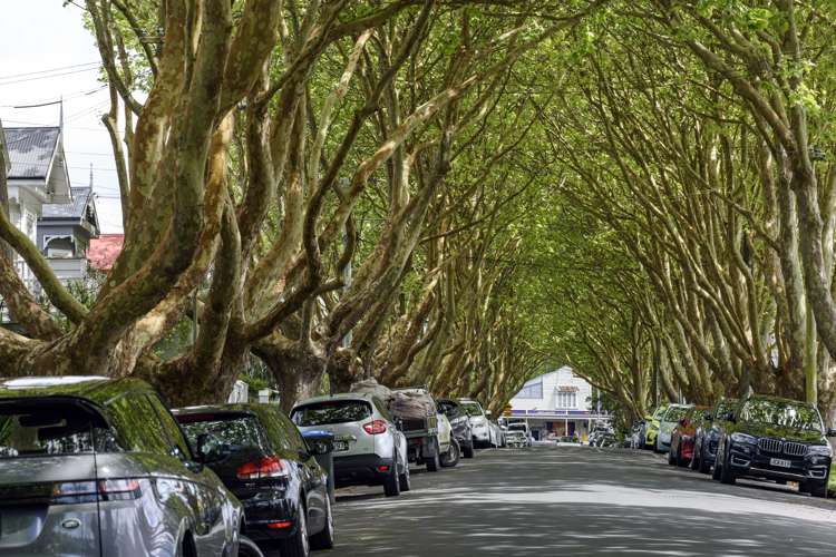 31 Hakanoa Street Grey Lynn_21