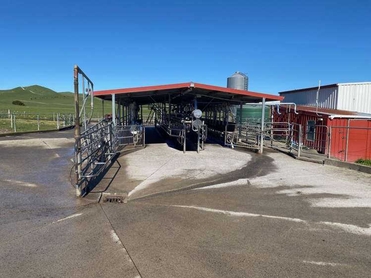 740D Tainui Road Hoe-o-tainui_6