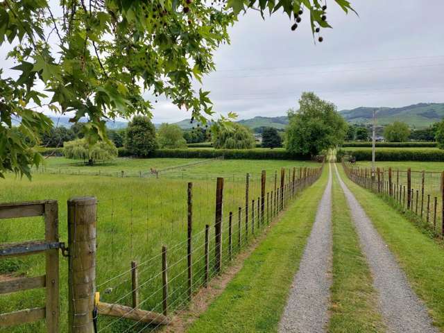 149 Gorton Road Karapiro_3