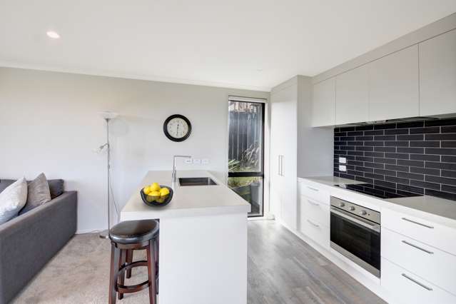 21 Brugh Place Andersons Bay_1