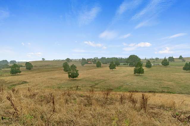 56 Onion Road Te Kowhai_3