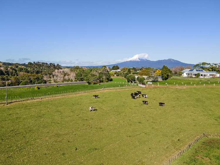 568 South Road Omata_12