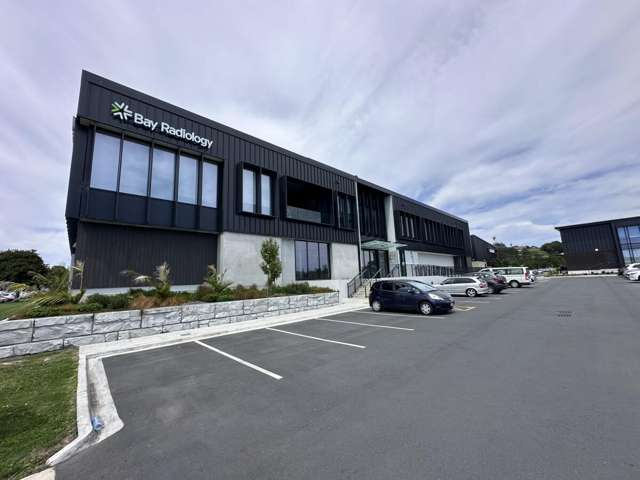 230 Seventeenth Avenue Tauranga_2