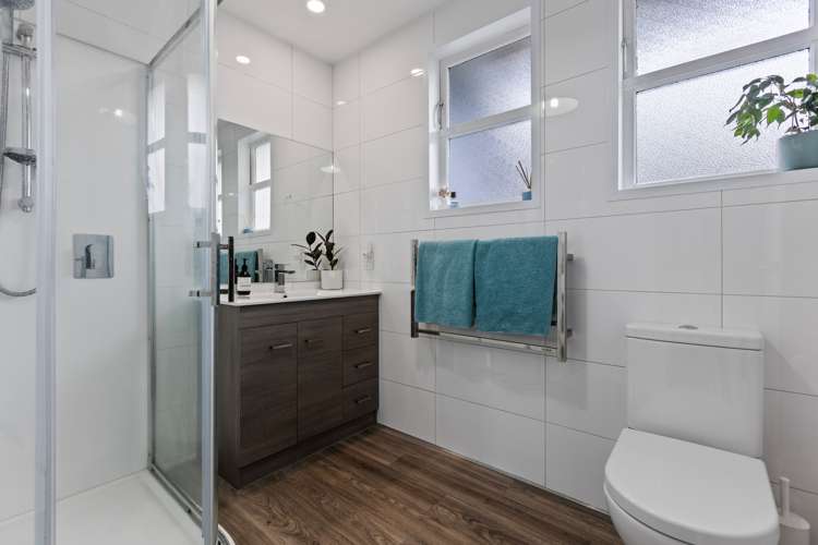 7 Camden Street Vogeltown_13