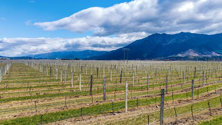 4816 State Highway 63 Wairau Valley_11