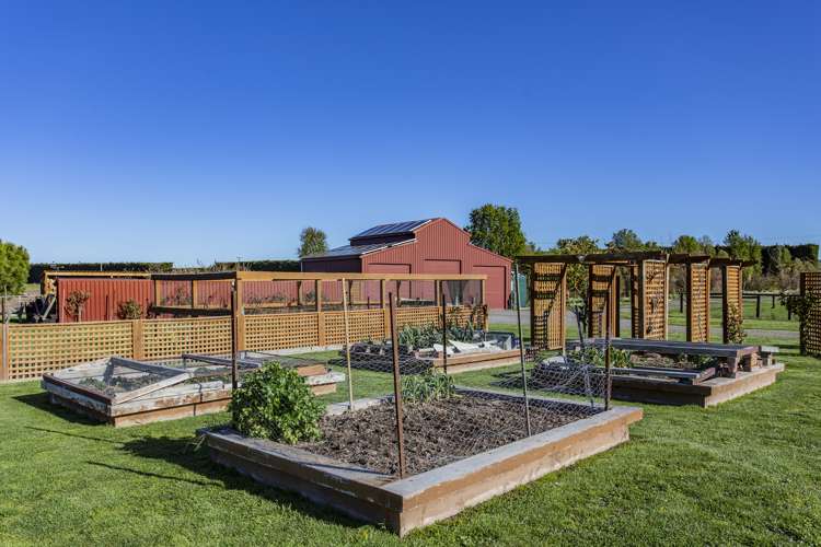 426 Downs Road Cheviot_14