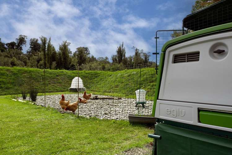 16 Charles Douglas Place Franz Josef / Waiau_16