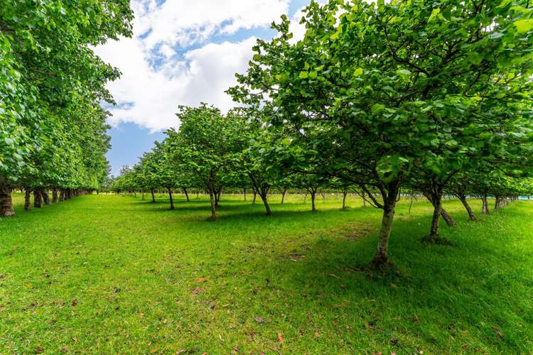 120 Summerleaze Road Otipua_36