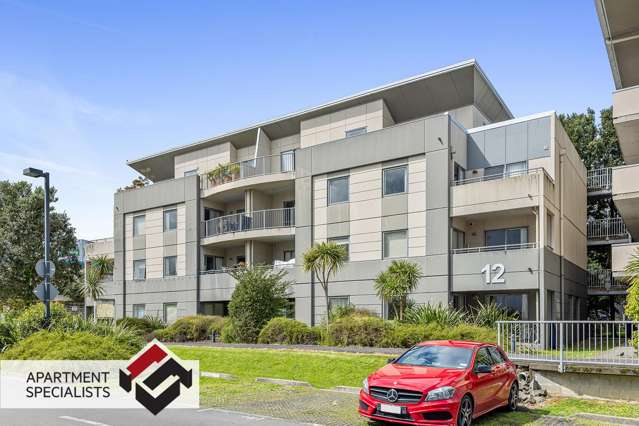 12 Morning Star Place Mount Albert_3