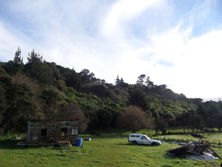 Harrison Street Featherston_13