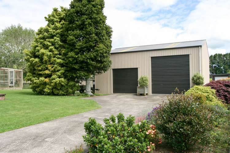 44 Maire Street Inglewood_5