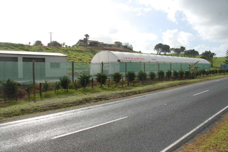 330 West Coast Road Awanui_13