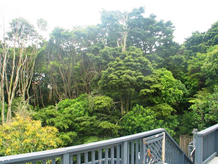 21 Hakea Place Totara Heights_5