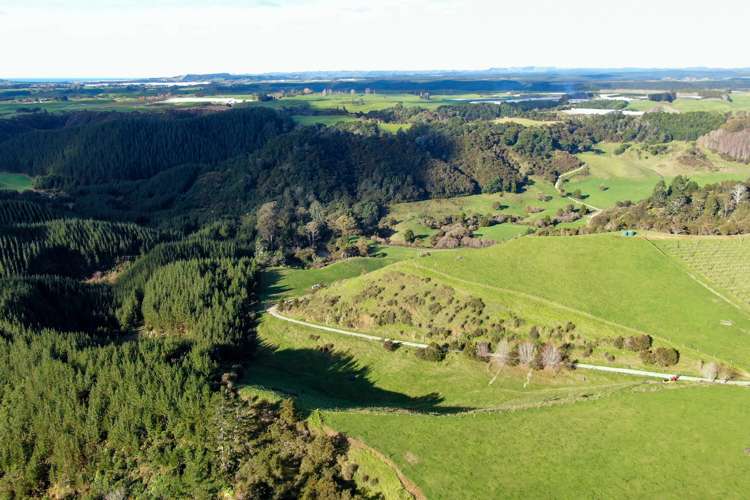 Maniatutu Road Pongakawa_2