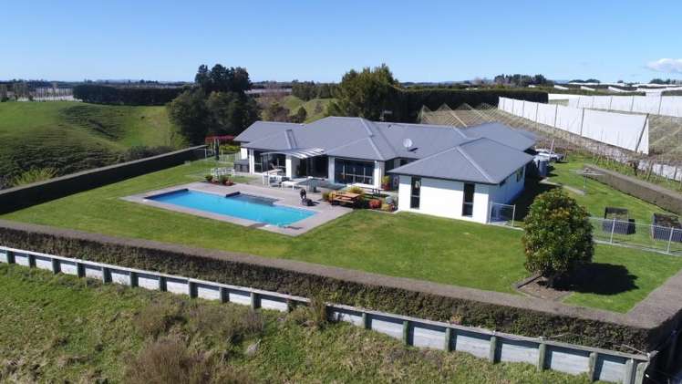 471b Old Coach Road Paengaroa_11