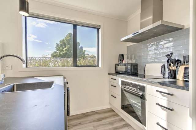  A/10 Tupelo Street Pukete_2