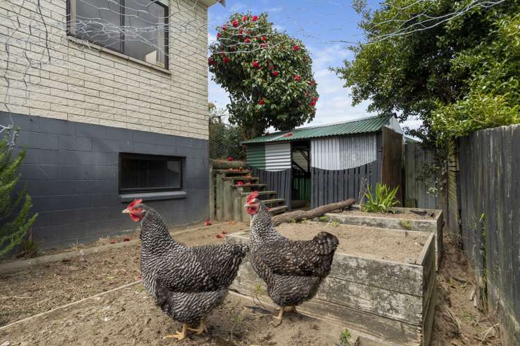 40b Manson Street Gate Pa_14