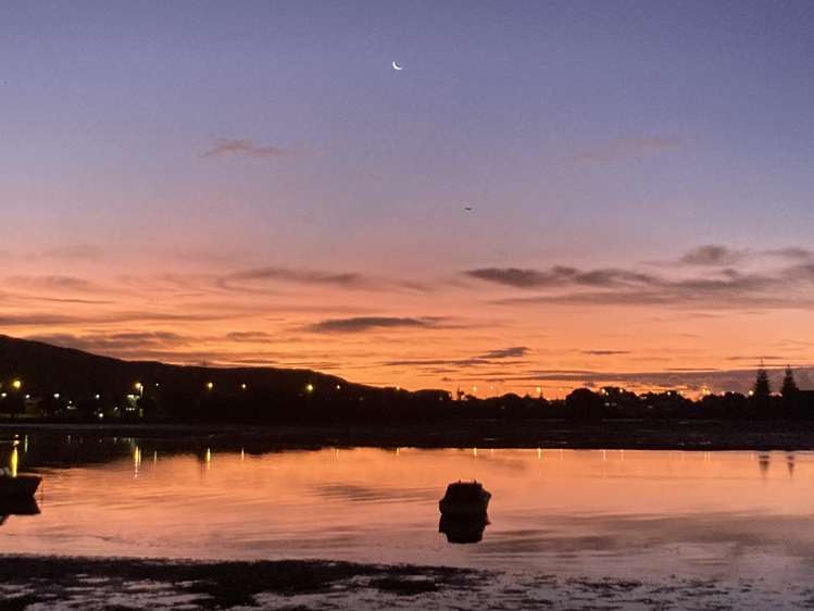 55 Paremata Road Paremata_39