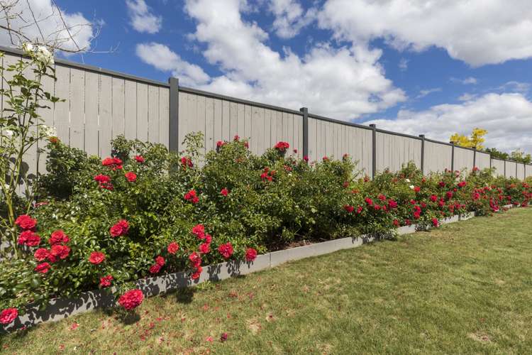 24 Dogwood Way Milson_20