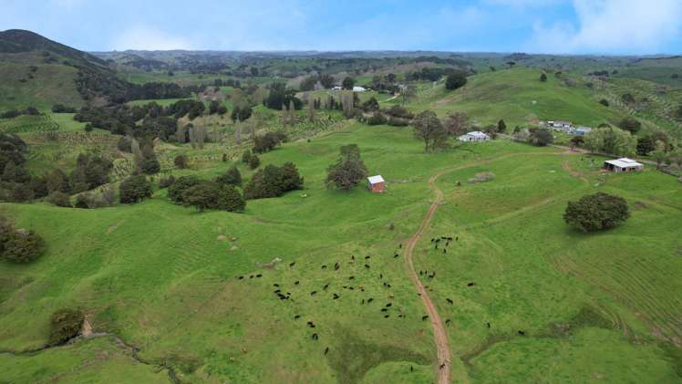 1896 Omana Road Pukehuia_2