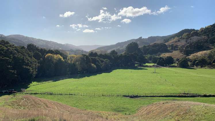 338 Tinui Valley Road Tinui_5