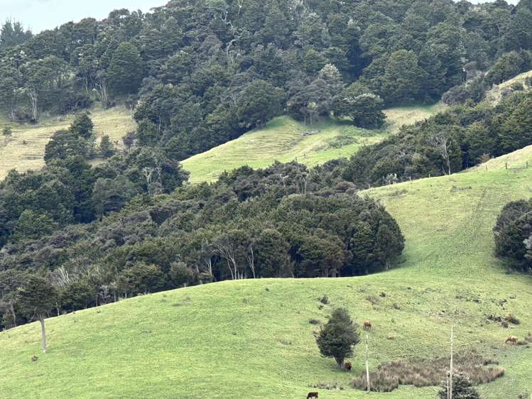 Bently Road Ruawai_6