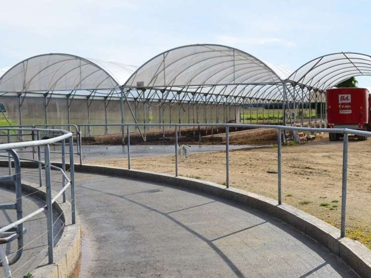 233a Papawai Road Greytown_18