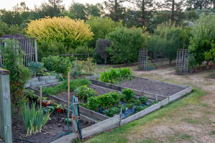 10 Kapuka Lane Redwood Valley_23