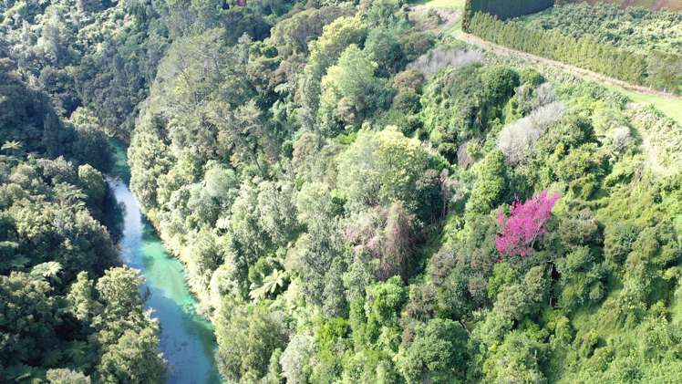 328 Maungarangi Road Paengaroa_14