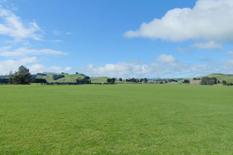 63 Hamilton Road Dannevirke_13
