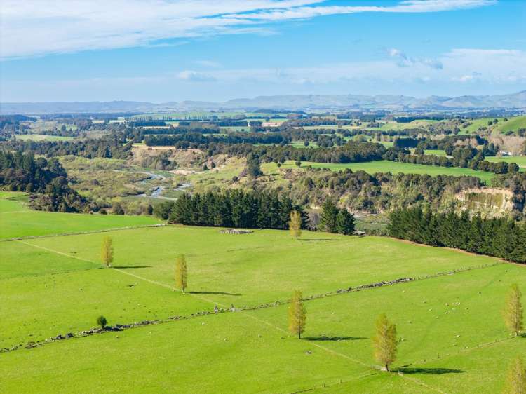 1139 Blackburn Road Ongaonga_25