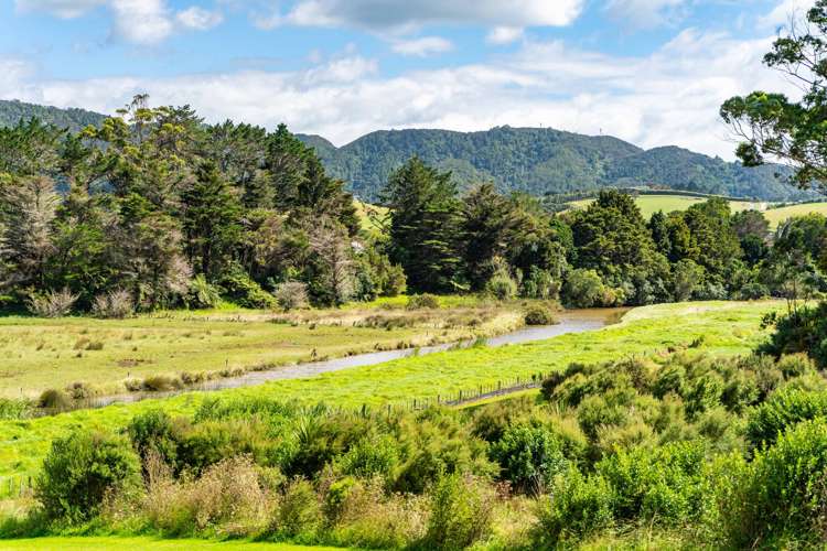 2136D Cove Road Mangawhai_28