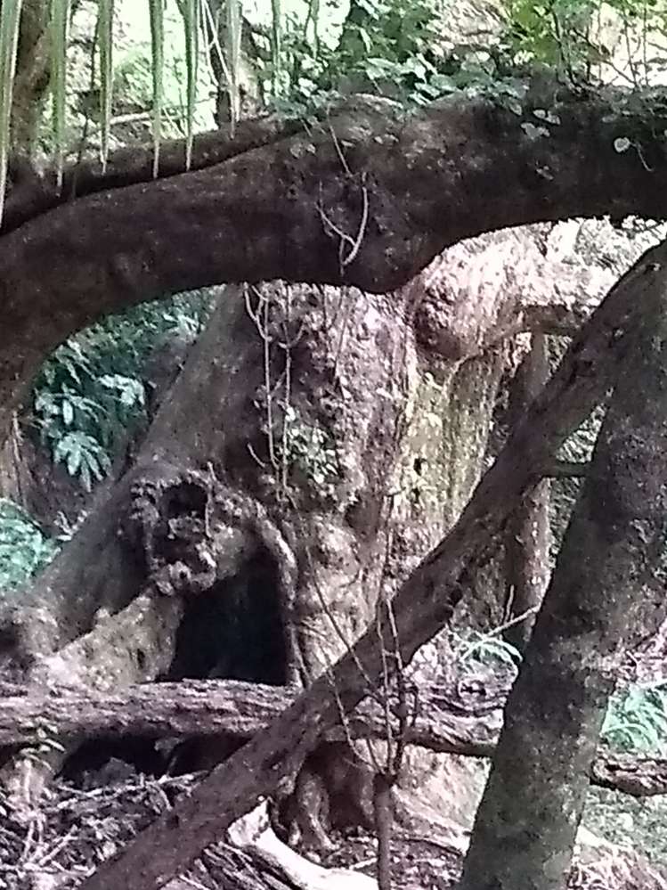 1708 Russell Road Hukerenui and Surrounds_18