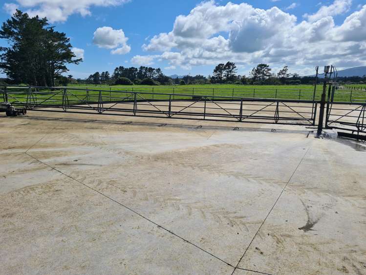 677 Newall Road Newall_10