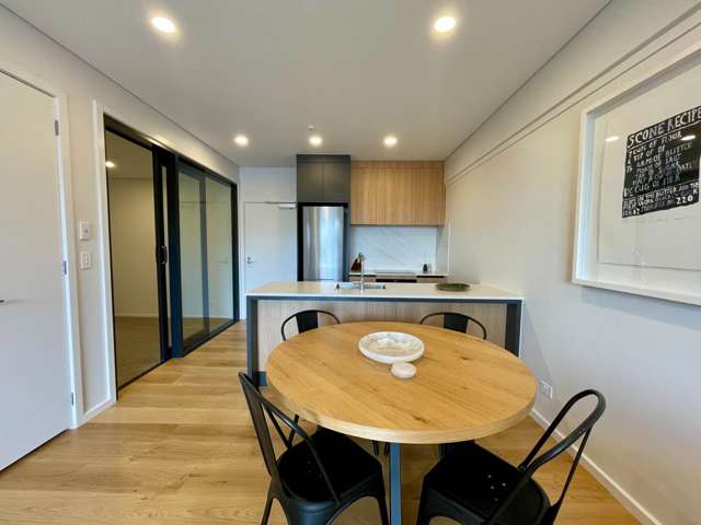 118/6-8 Meadowbank Road Meadowbank_1