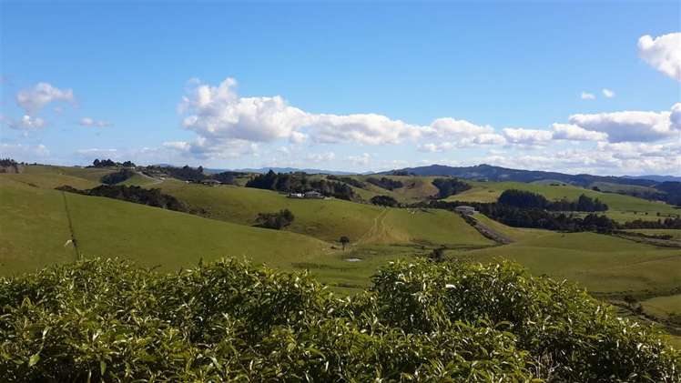 229 Sandford Road Ruakaka_19