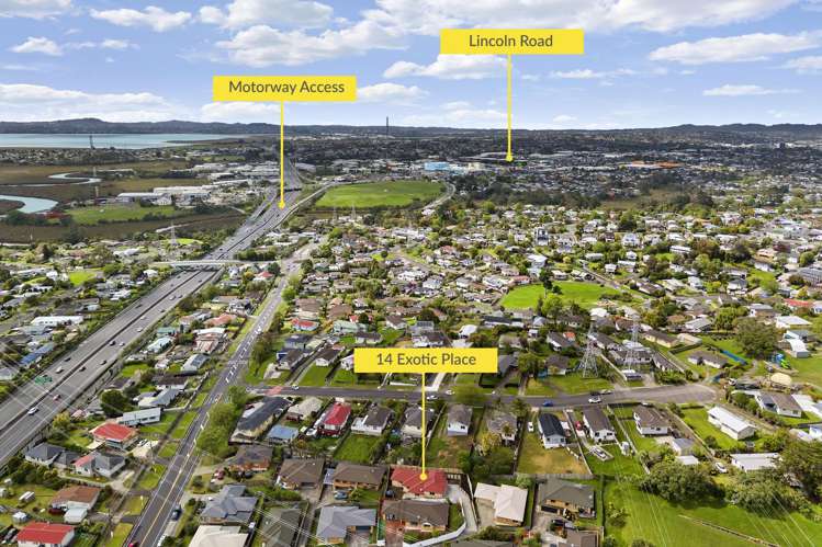 14 Exotic Place Massey_21