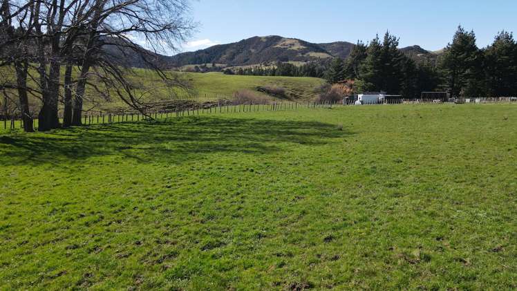 3345A Weber Road Dannevirke_17