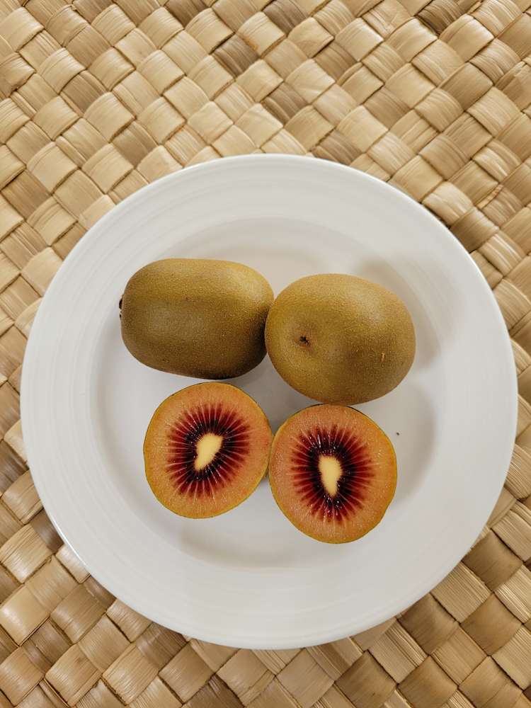 170d Kerikeri Inlet Road Kerikeri_20